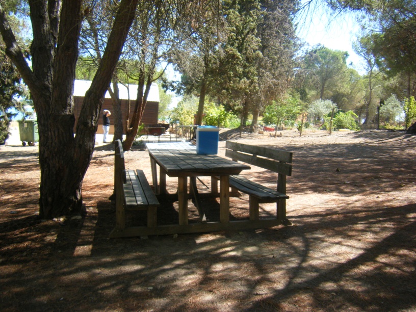 Mesa de piquenique grande com bancos com encosto