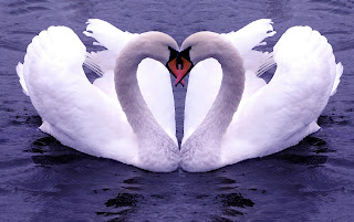 facebook status about love facebook status about love