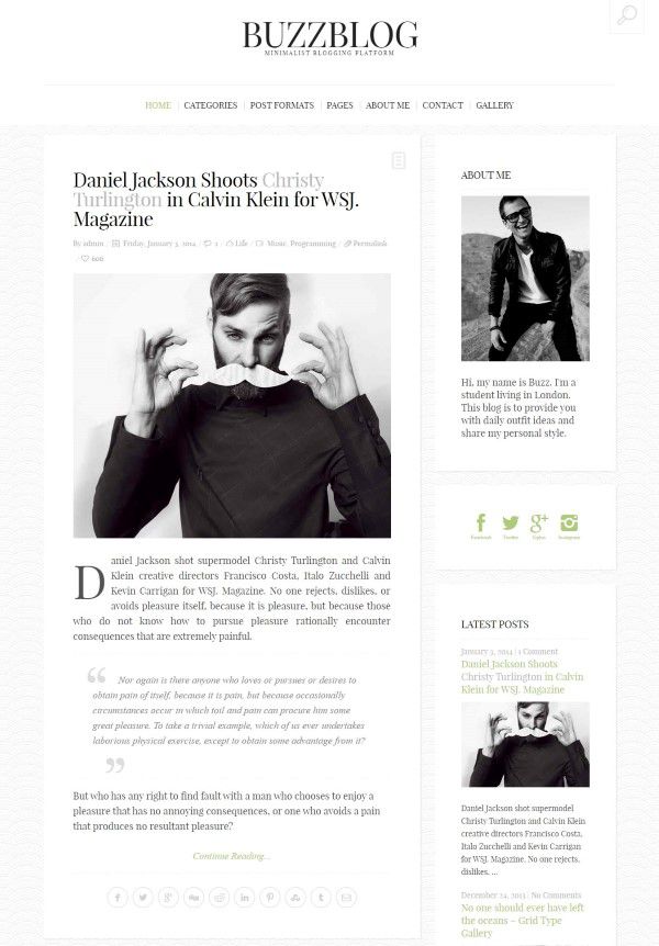 BuzzBlog authority blog theme