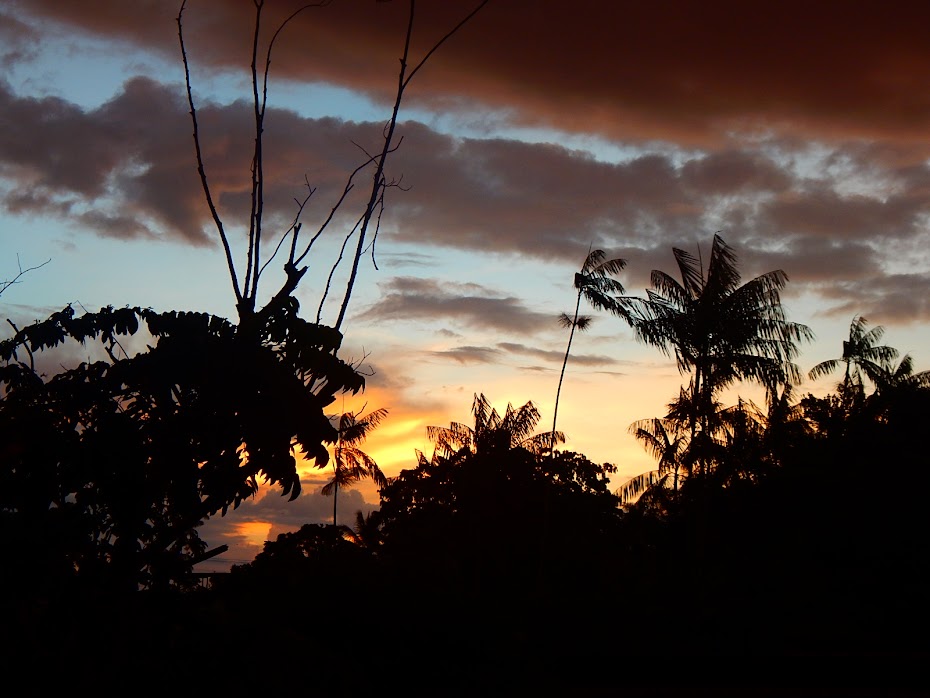 POR DE SOL NA AMAZONIA > FOTOS DE NECA MACHADO