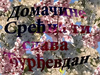 %D0%94%D0%BE%D0%BC%D0%B0%D1%87%D0%B8%D0%BD%D0%B5+%D0%A1%D1%80%D0%B5%D1%9B%D0%BD%D0%B0+%D1%82%D0%B8+%D1%81%D0%BB%D0%B0%D0%B2%D0%B0+%D0%82%D1%83%D1%80%D1%92%D0%B5%D0%B2%D0%B4%D0%B0%D0%BD+2.jpg