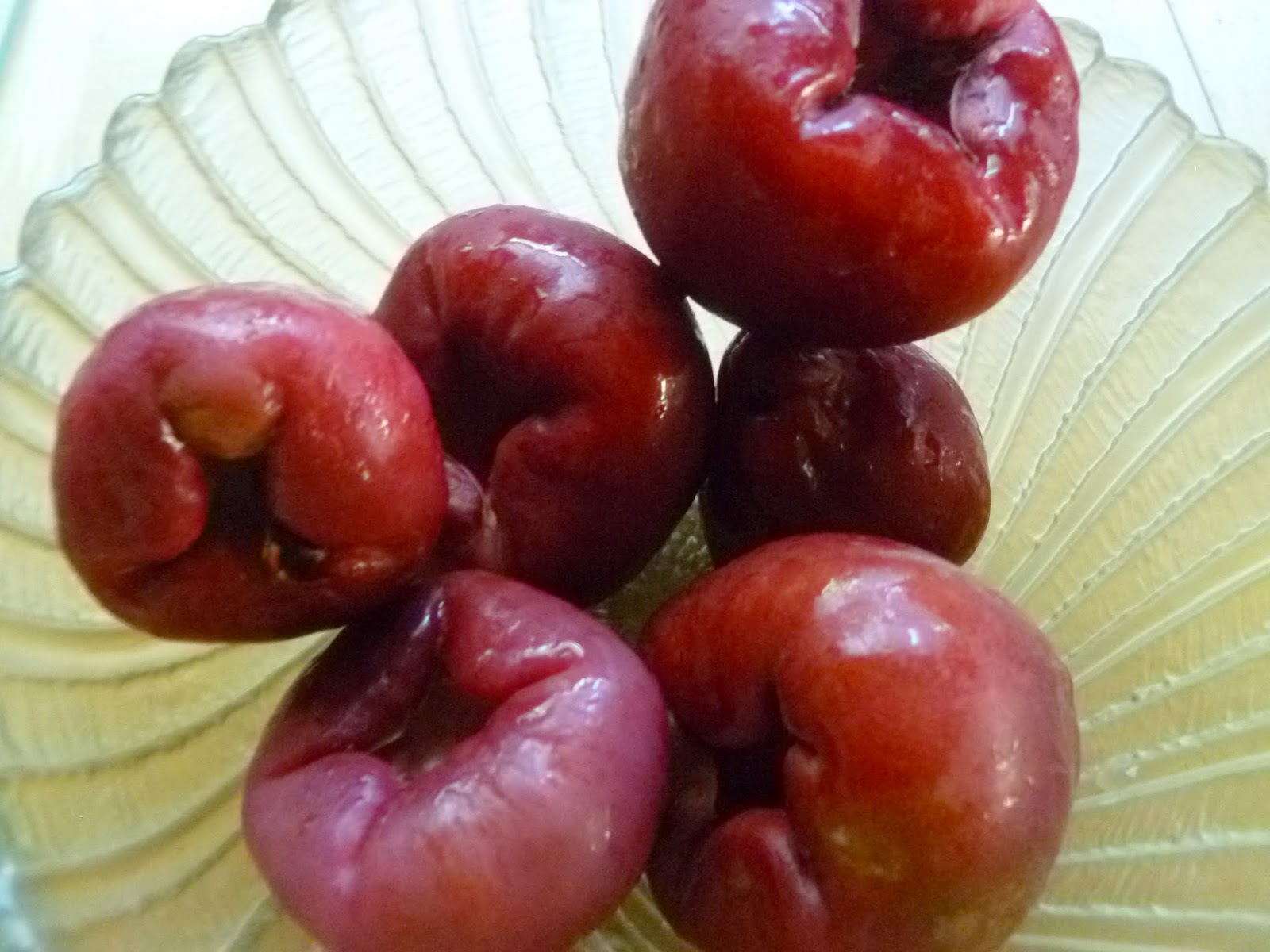 Maui Jungalow Subtropical Mountain Apples
