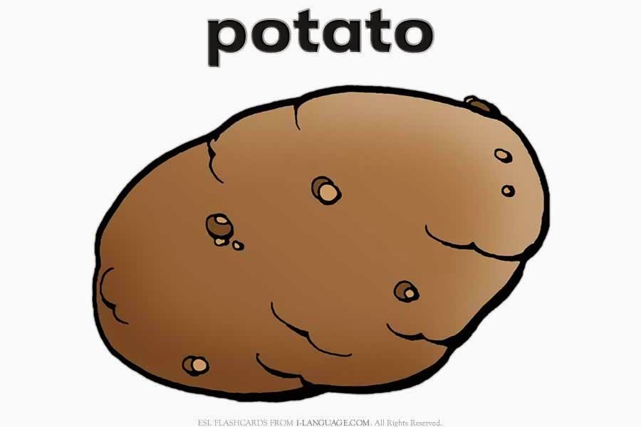 Maestro San Blas On the farm Vocabulary