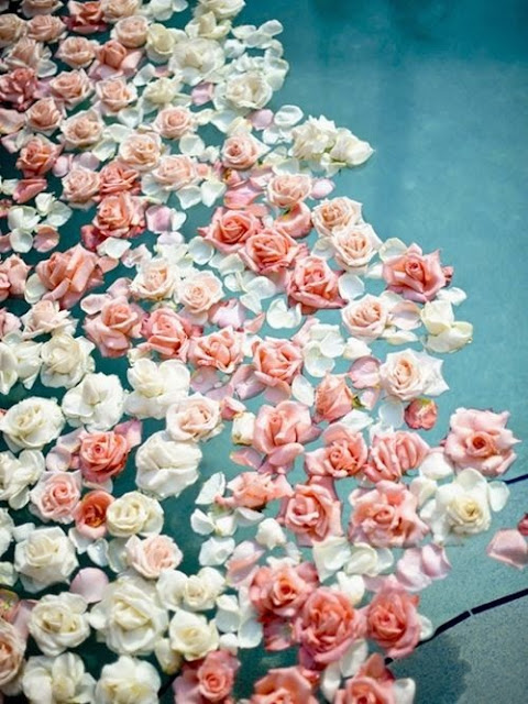http://www.pinterest.com/lovemaeloves/inspiration/