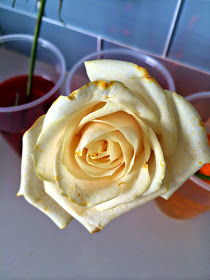 Blue Skies Ahead: Flower Science Experiment for Kids