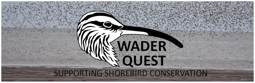 Wader Quest