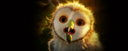 Eglantine Owl