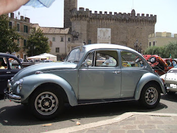 VW 1302