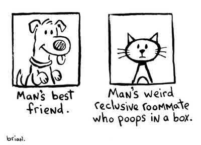 Cat Weird Roomate Who Poops In A Box Cat Weird Roomate Who Poops In A Box