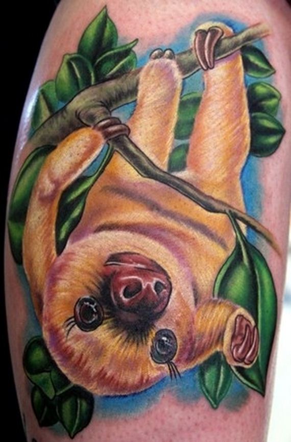 of the best sloth tattoos of all time of the best sloth tattoos of all time