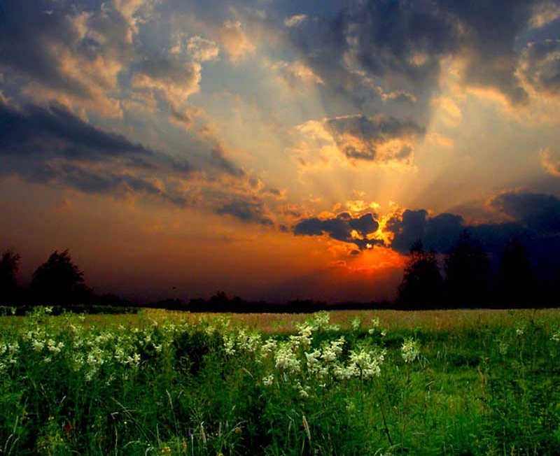 Awesome Examples of Sunset Photography