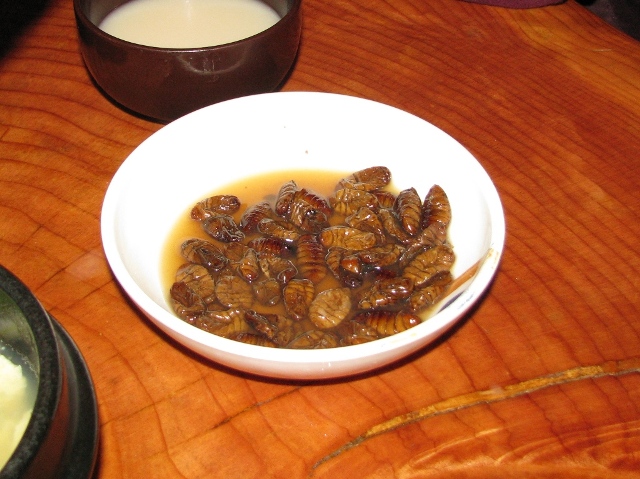 Beondegi, korean food, korean silkworm food