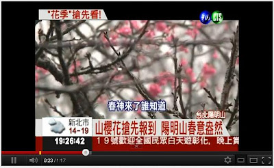 陽明山花季2012