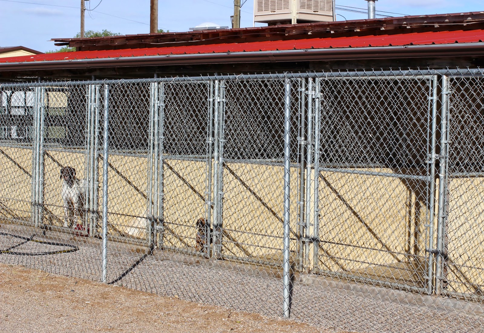 My Dog Chloe & Me Chloe's Weekend in the Country