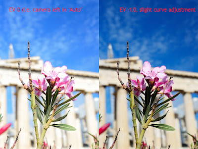 image of flower in front of Acropolis
