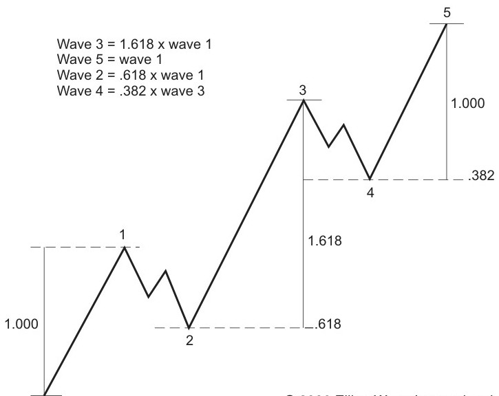 Tzh forex