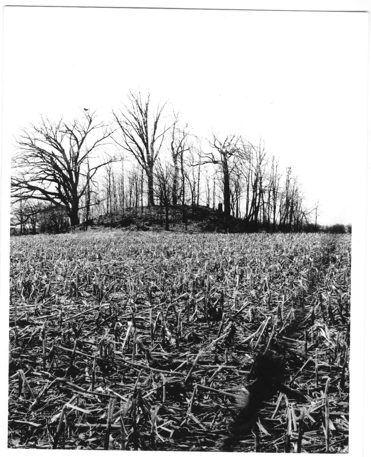 List 101+ Pictures Where In North America Did The Mound Builders Live