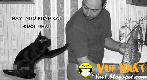 Ảnh-chế-động-vật-ham-ăn Ảnh-chế-động-vật-ham-ăn