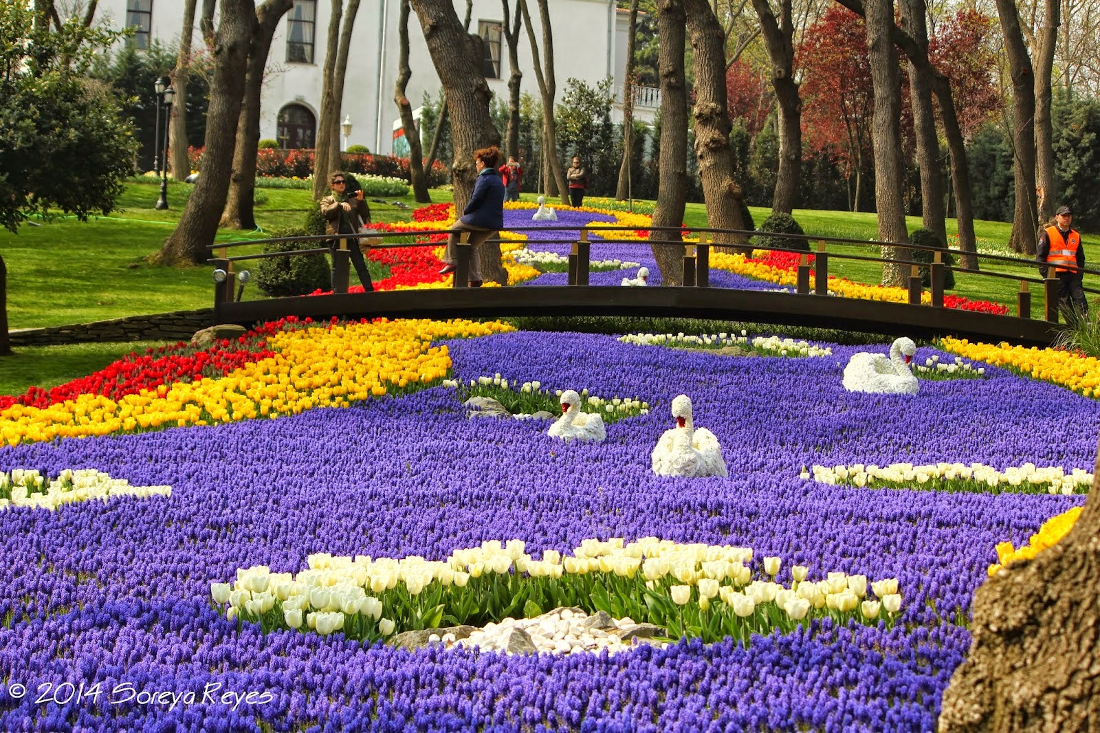 International Istanbul Tulip Festival, Istanbul, Turkey Where To Travel