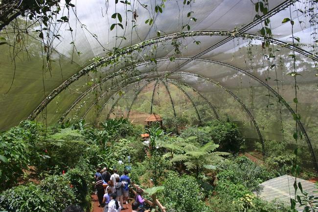 Costa Rica Butterfly farm