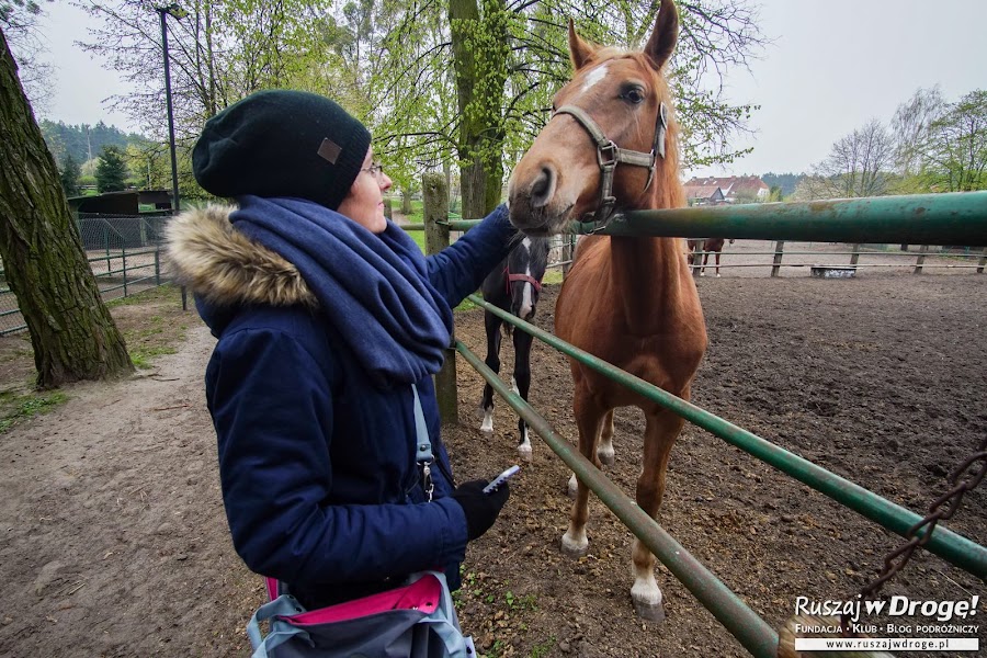 Miłosna - stajnie i tereny rekreacyjne