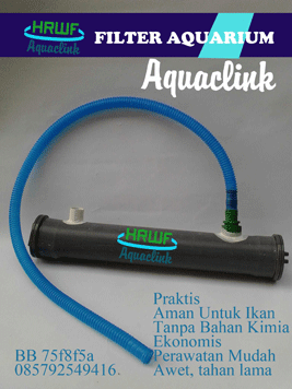 Filter Aquarium Terbaru Buatan Heri