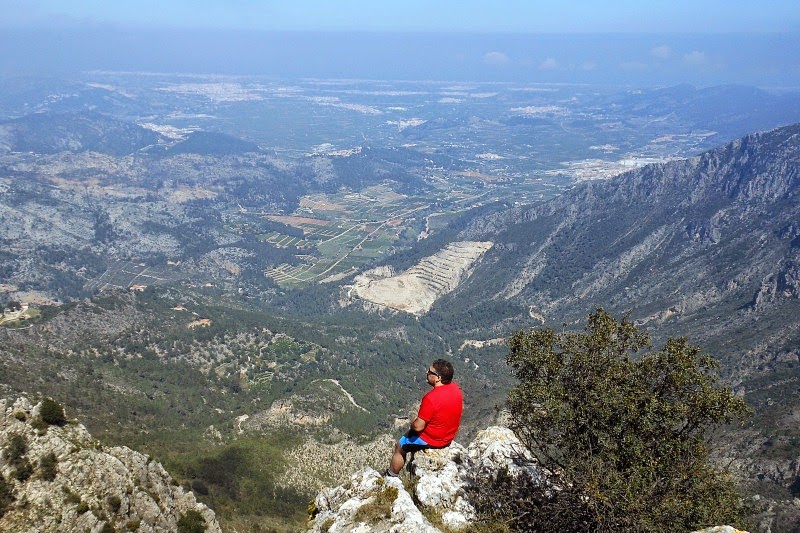 CIRCO DE LA SAFOR