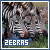 I like zebras