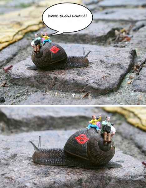 painted snails