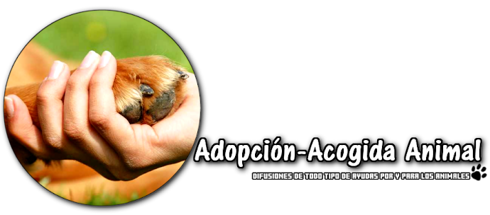 Adopción-Acogida Animal