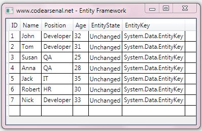 entity framework example