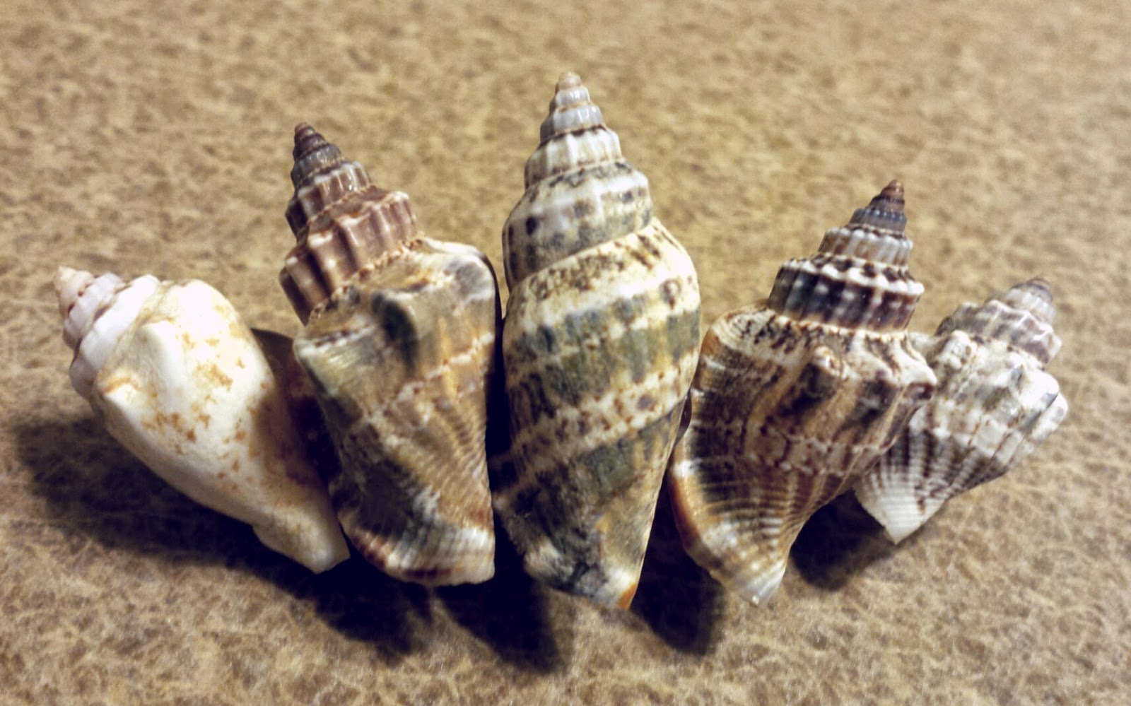 Dress Me a Story DIY Mermaid Inspired Seashell Hair Accessories Tutorial