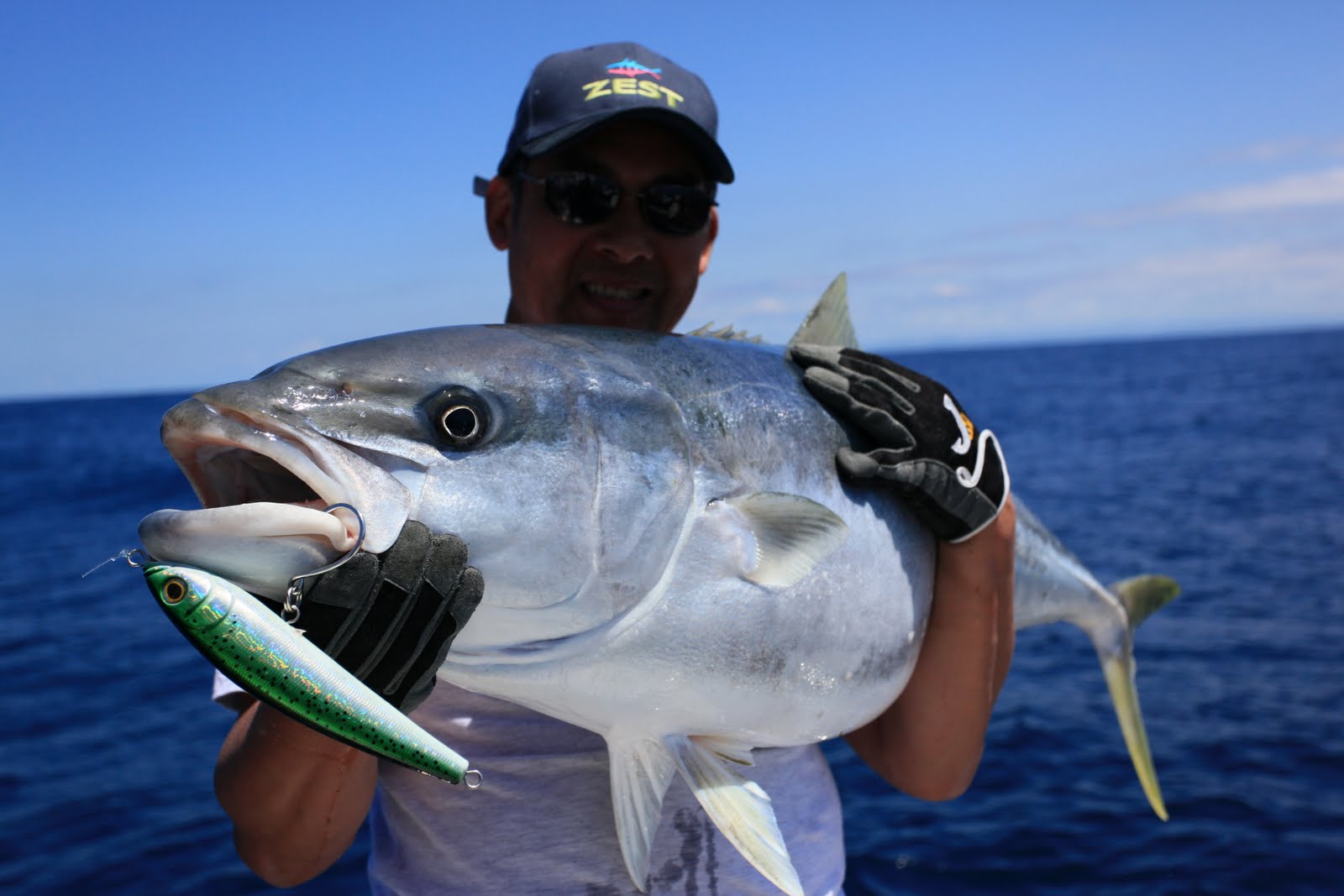 world record sailfish