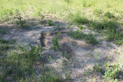 earthworks sculpture of a body outline