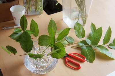 [Image: cam-hoa-nghe-thuat-2-sac-xanh-1.jpg]