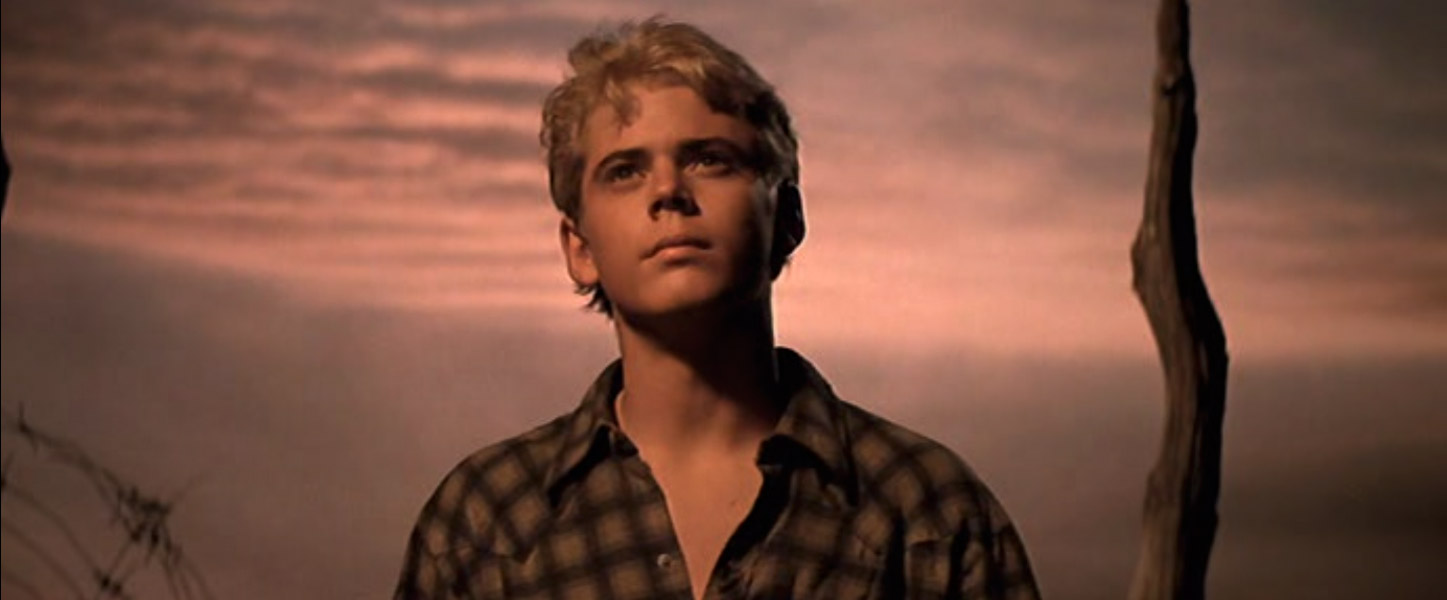 What are some of Ponyboy Curtis's characteristics?