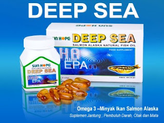 SUN HOPE DEEP SEA SUN HOPE DEEP SEA