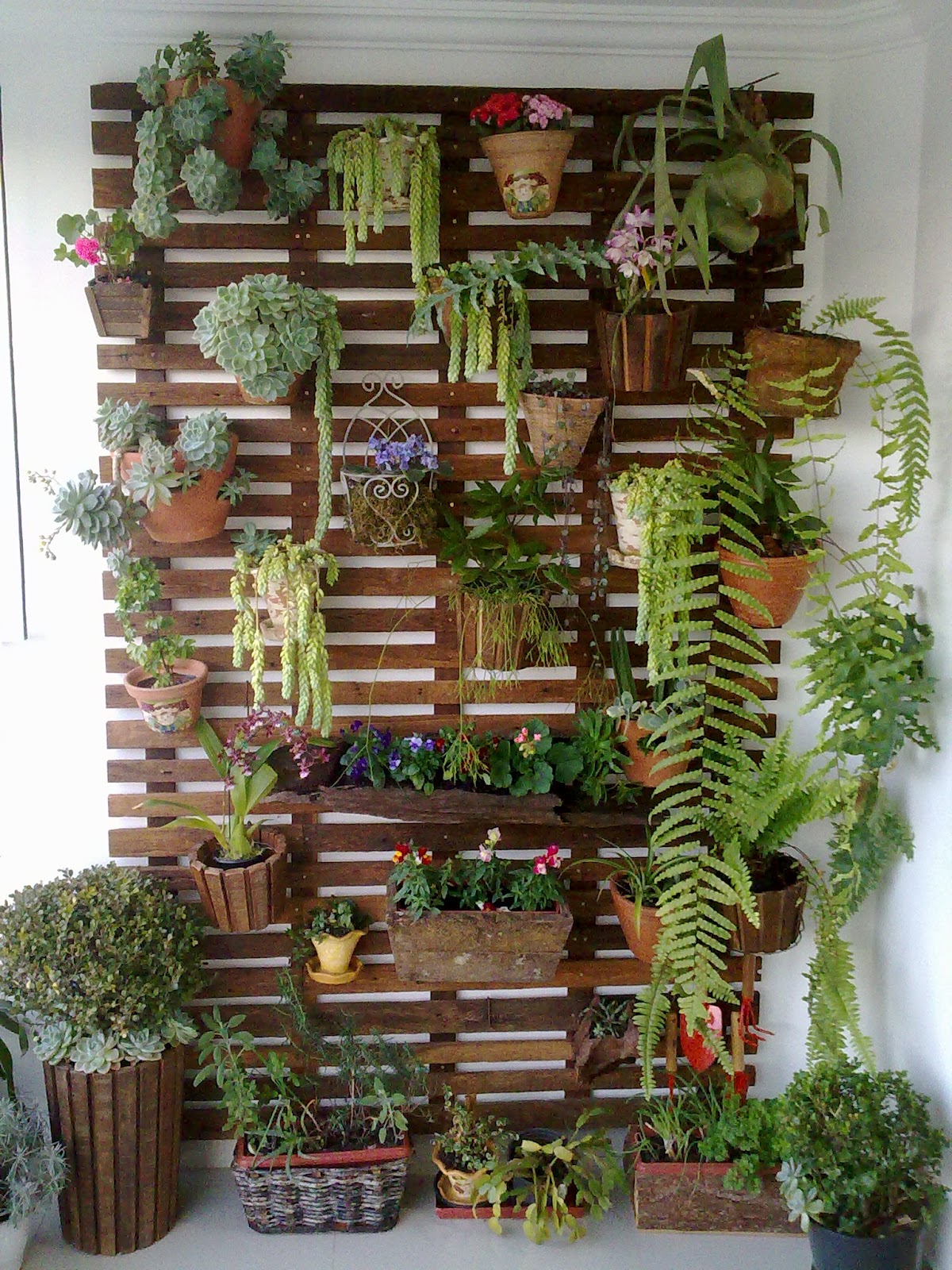 como decorar uma varanda com plantas