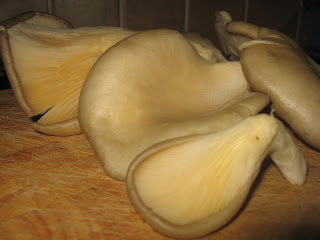  Oyster Mushroom Stir Fry ngsdinner@blogspot.com 