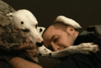 dog_man.gif