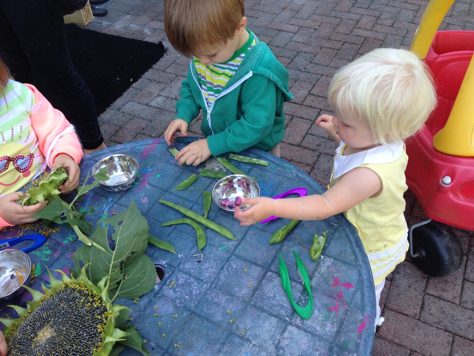 Preschool Play Sunflowers and Seeds