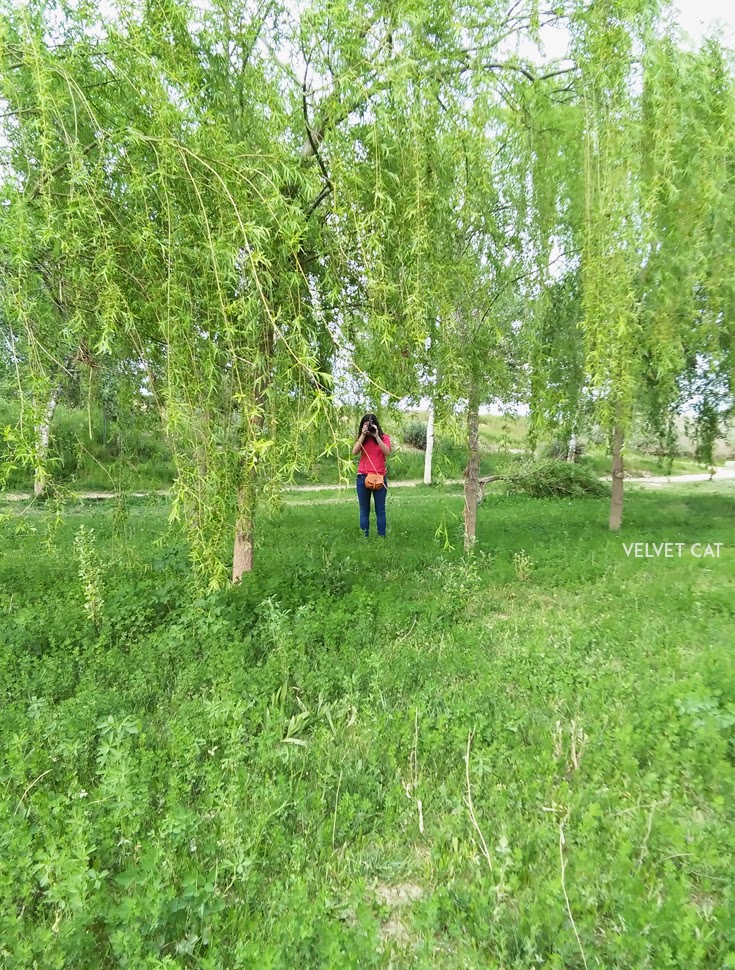 marriage not dating eng sub free download marriage not dating eng sub free download