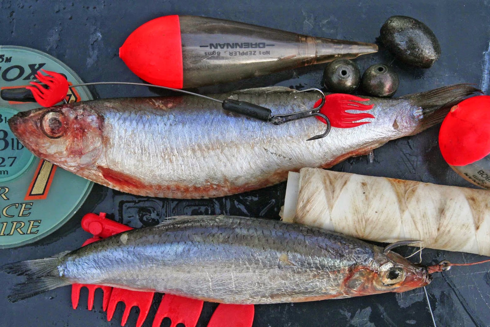 Duncan Charmans World of Angling MY TOP 10 PIKE BAITS REVEALED