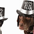 Feliz Ano Novo !!!!!