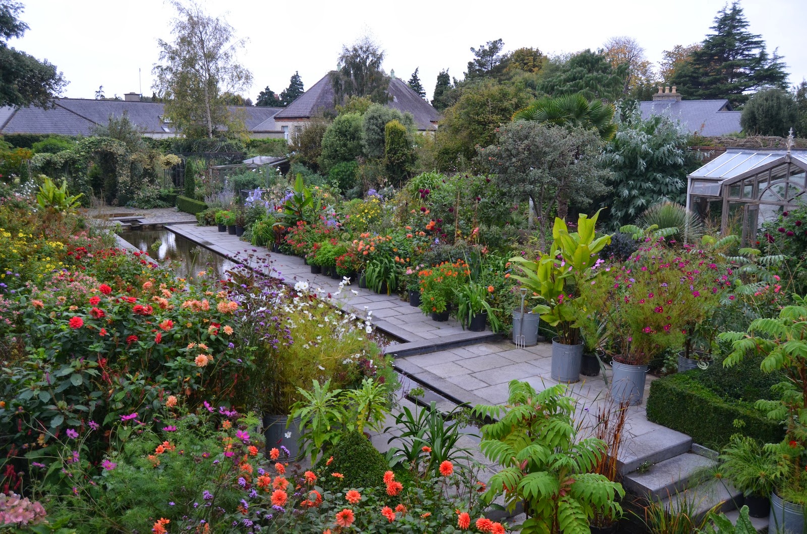 noel s garden blog ireland gardening climate and culture noel s garden blog ireland gardening climate and culture