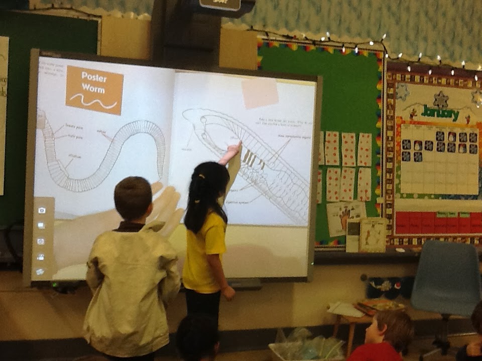 A Kindergarten Adventure in Project Based Learning Scaffolding the