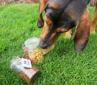 Kibble Dog Food Good Or Bad Kibble Dog Food Good Or Bad