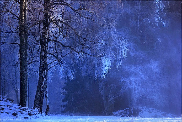 Emerging Photographers, Best Photo of the Day in Emphoka by Torkel Kylberg, https://flic.kr/p/pRzcL5 Emerging Photographers, Best Photo of the Day in Emphoka by Torkel Kylberg, https://flic.kr/p/pRzcL5