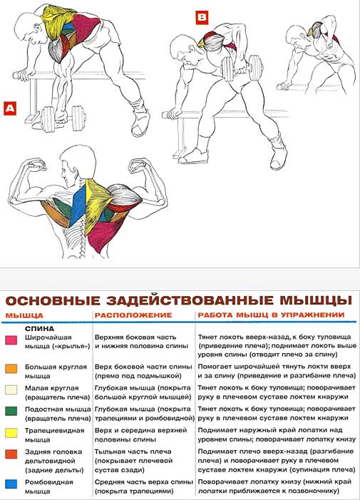 Управления на спину в домашних условиях Управления на спину в домашних условиях
