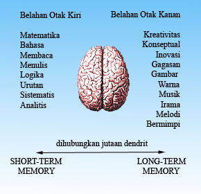 Anatomi Otak Manusia Dan Fungsinya.pdf